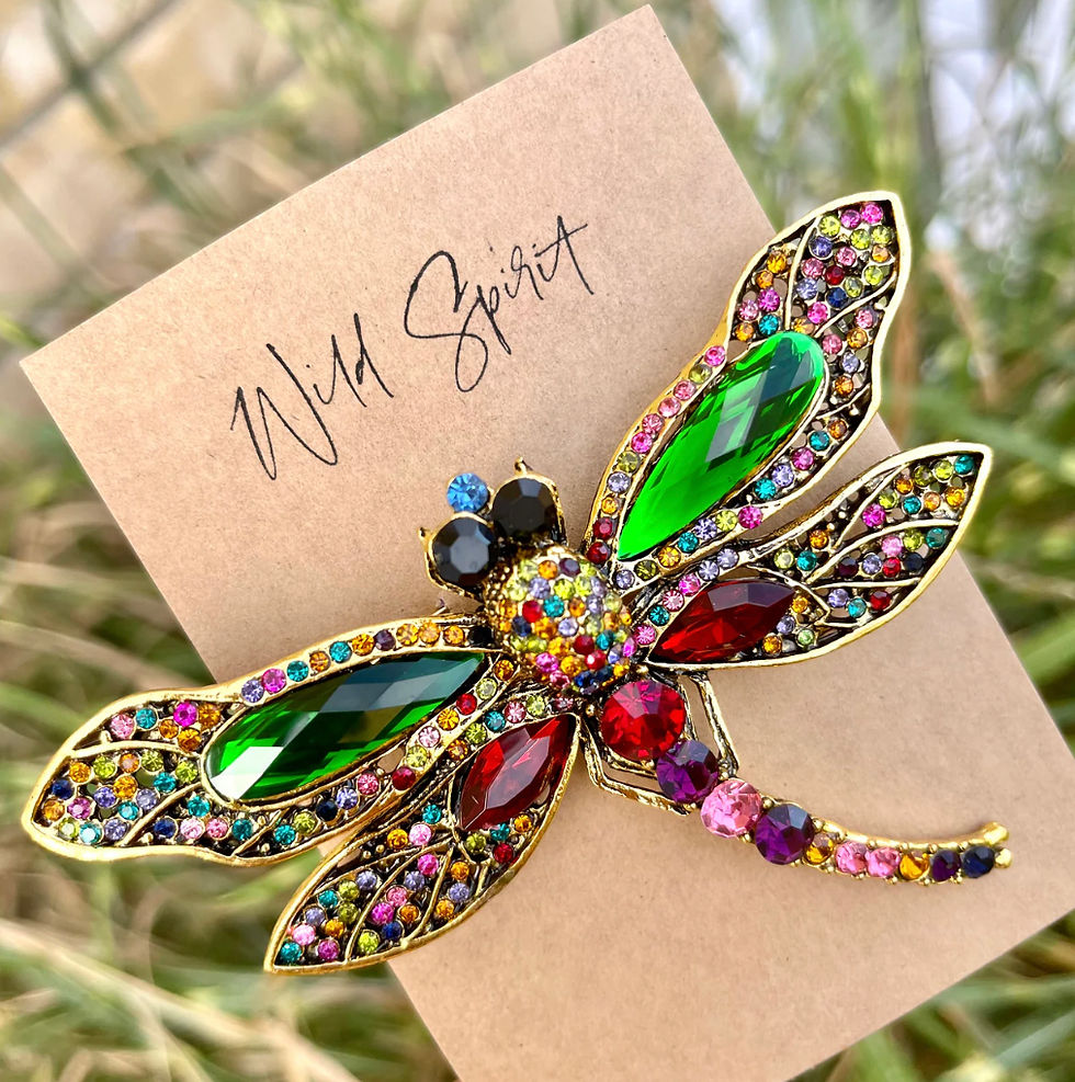 Thumbnail: Large dragonfly boho brooch