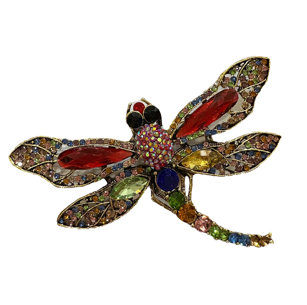 Thumbnail: Large dragonfly boho brooch