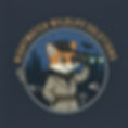 extra raccoon_edited_edited.jpg