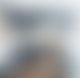 contemporary kitchen redesign