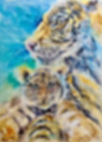 Miniatura: Tigri