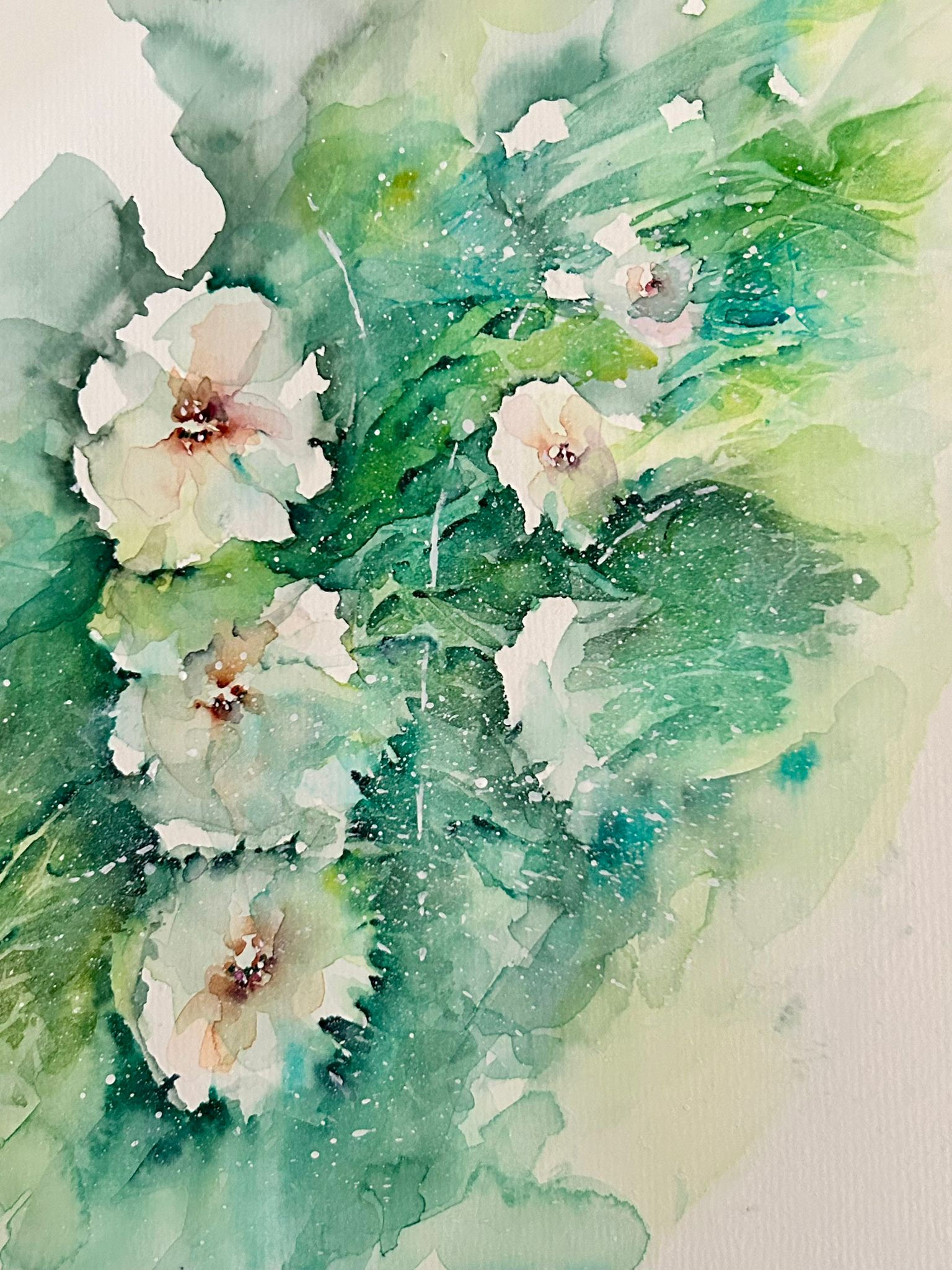 Nuvole bianchi su prato