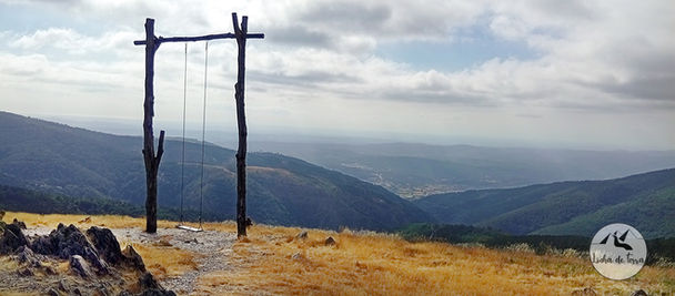 Baloiço de Trevim