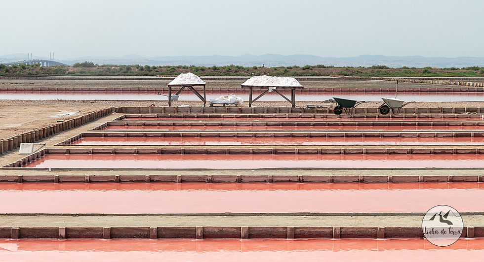 Salinas do Samouco
