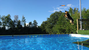 20180914_172729.jpg