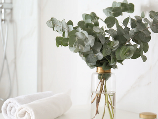Discovering Eucalyptus: A Natural Remedy