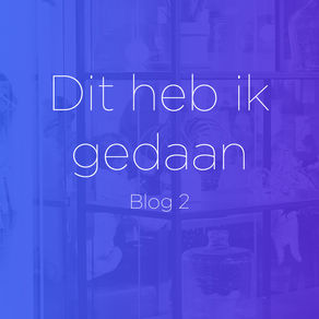 Dit heb ik gedaan blog 2