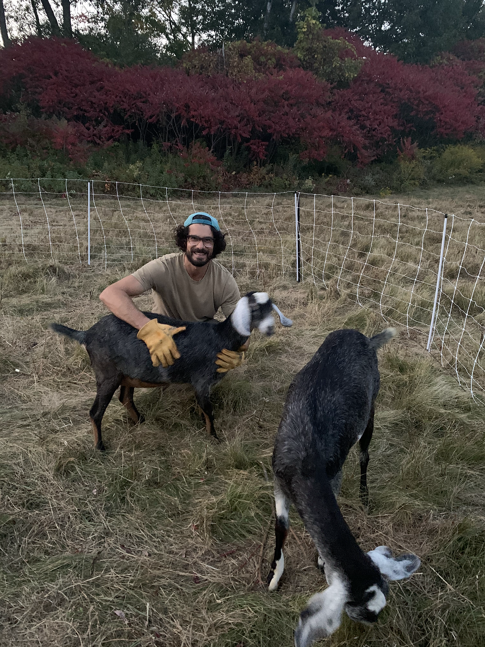 Beginner's Guide to Goat Ownership