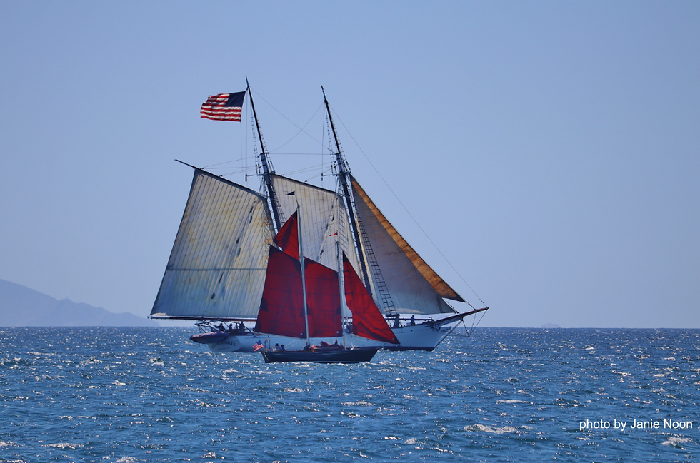 America's Schooner Cup
