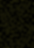 BP Brand Kit.png