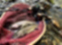 LINE_ALBUM_Dwarve_251202_8.jpg