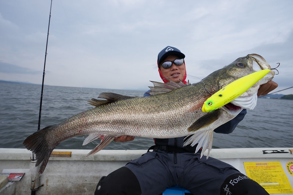 サムネイル： Megadog TRANSCENDENCE オリカラ