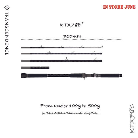 【トランスセンデンス】KTX78B / ケーティーエックス78B /* KTX78B | ケーティーエックス78B | TRANSCENDENCE