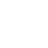 ICON01.gif