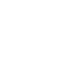 ICON03.gif