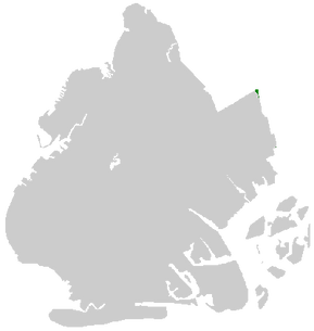Brooklyn_Silhouette-export.png