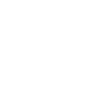 ICON02.gif