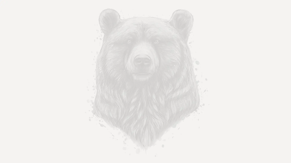 jungle-creative.webp