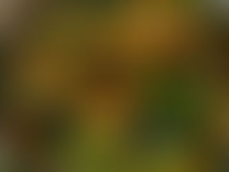 Warm Potato & Veggie Salad  