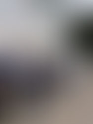 實地視察16號小巴站配套設施問題