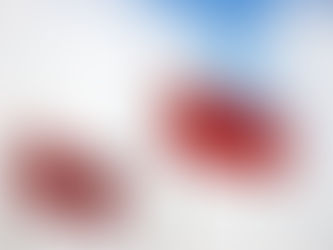 葛珮帆:國歌、區旗再三出錯,香港欖球總會不能推卸責任