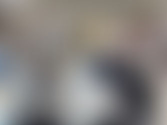 與城巴代表就北區交通問題交換意見