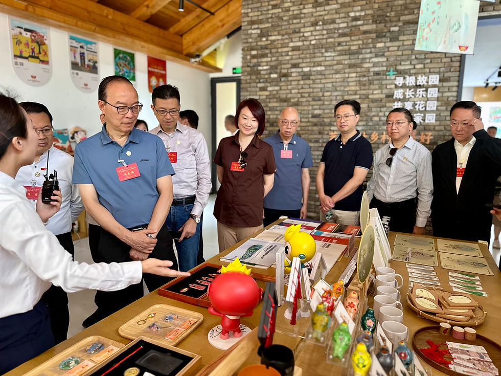 港區人大代表團繼續考察安徽蕪湖,由鄉村建設到低空經濟 視察城市發展新舊面