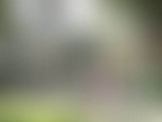 植潔鈴歡迎特首採納民建聯建議優化閩粵津貼直匯長者內地戶口