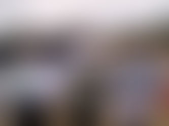 「傻媽流浪貓狗之家」獲發展商借出農地安置 劉國勳將助申請改劃用途及申請牌照 政府發展北部都會區 應更主動規劃安置流浪動物地點