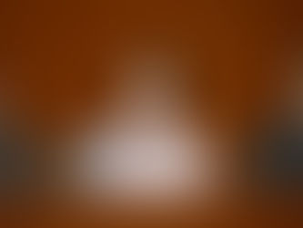 郭芙蓉支持《財政預算案》加碼維修資助,強化專業監管