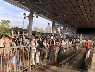 郭玲麗關注跨境學童乘搭交通安排,倡加密服務班次