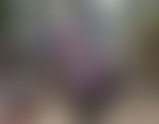 落實愛國者治港，推動良政善治