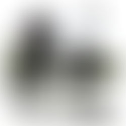 回應警方廉署瓦解非法外圍賭博集團 鄭泳舜促正視打假波問題年輕化