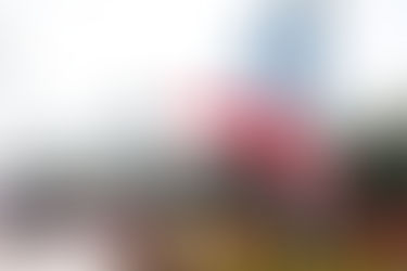 元朗區五．四青年節升旗禮