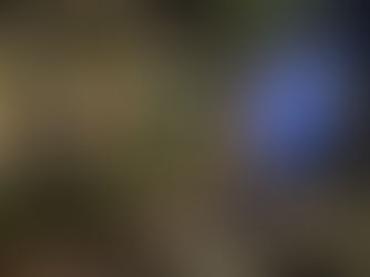 周浩鼎倡加快善用科技檢察水管情況,以免屯門停水事件再出現