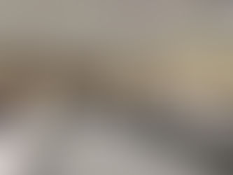 民建聯邀請官員向地區簡介調查滲水新程序 冀提升效率解民困