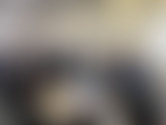 修訂《保護海港條例》的意見