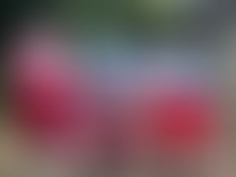 民建聯強烈譴責佩洛西竄訪台灣