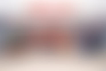 葛珮帆、陳祖光、郭芙蓉、張培剛及植潔鈴舉行新春團拜盆菜宴