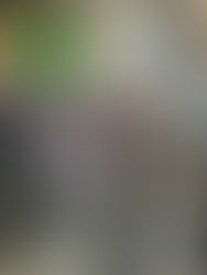 派發福米及防疫物資