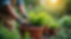 Home-Welcome-1.jpg