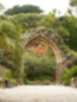 Inspiration from Tresco Abbey Gardens by Ben Turner