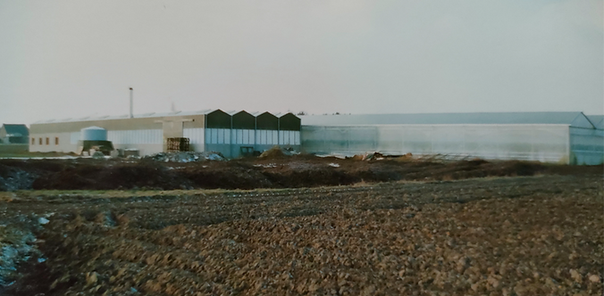 Onze hangaar en serre, net gebouwd in 2000