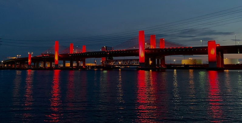 Pearl Harber Bridge.jpg