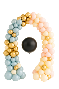 Premium Genders reveal Transparent.png