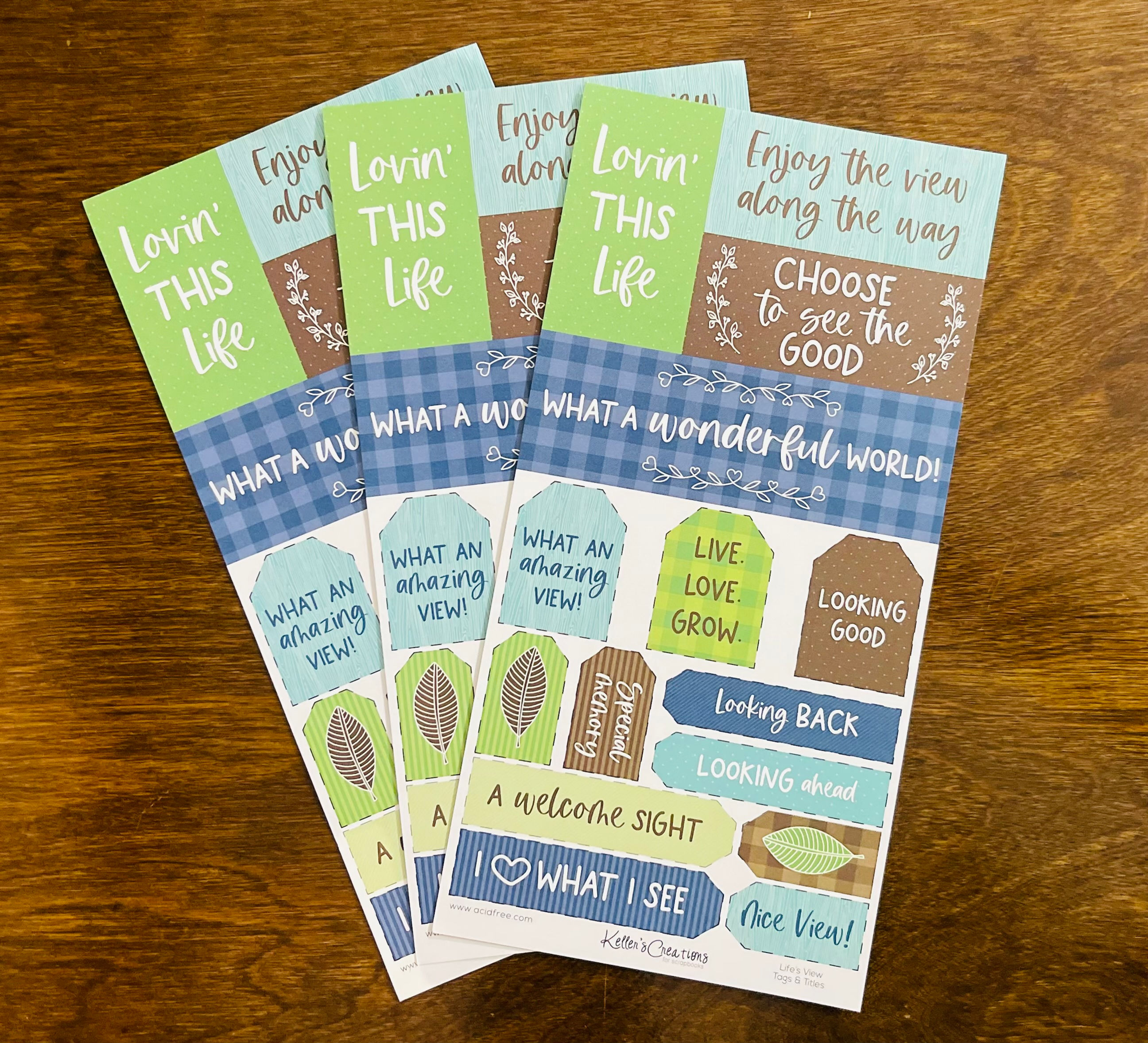 LIFE’S VIEW TAGS & TITLES- 3 PACK
