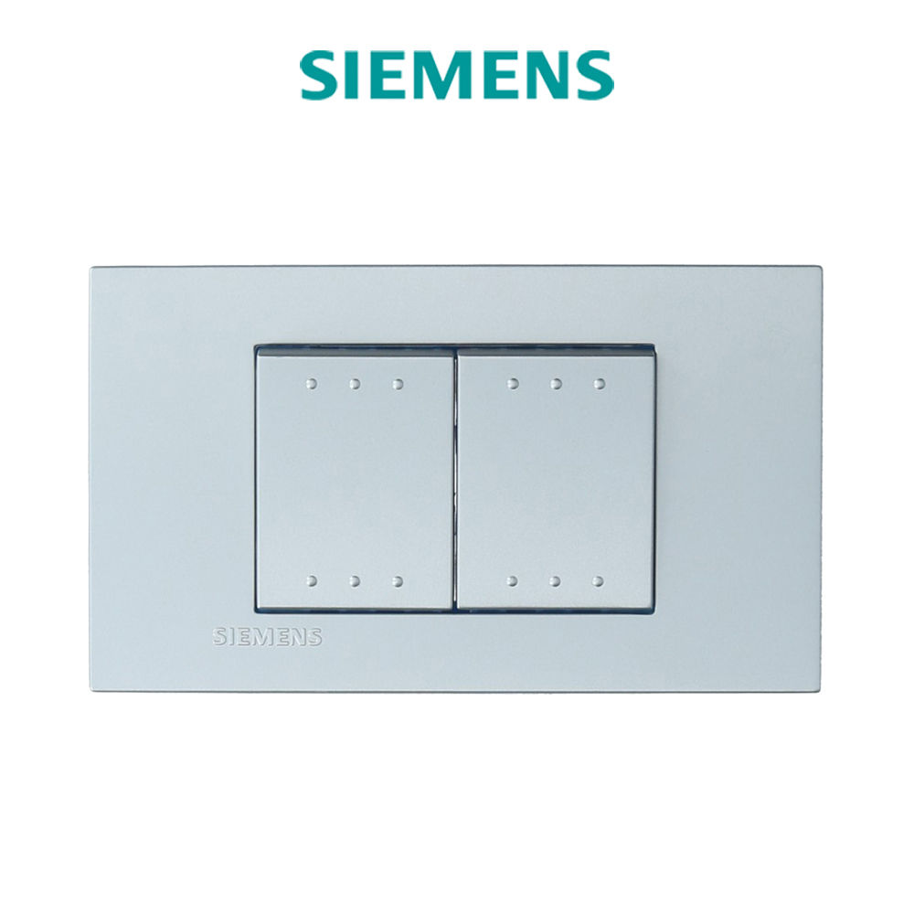 ชุดสวิตช์ทางเดียว 2 สวิตช์ (สีเงิน)