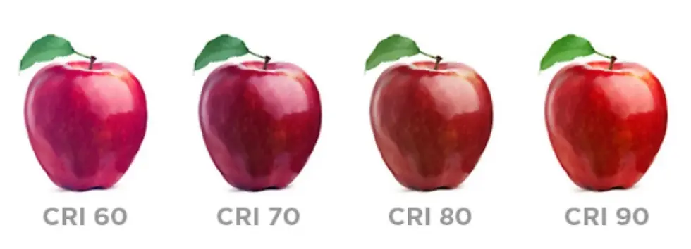 ree