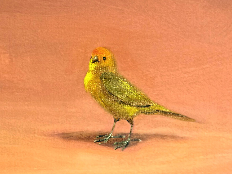Thumbnail: DAWN