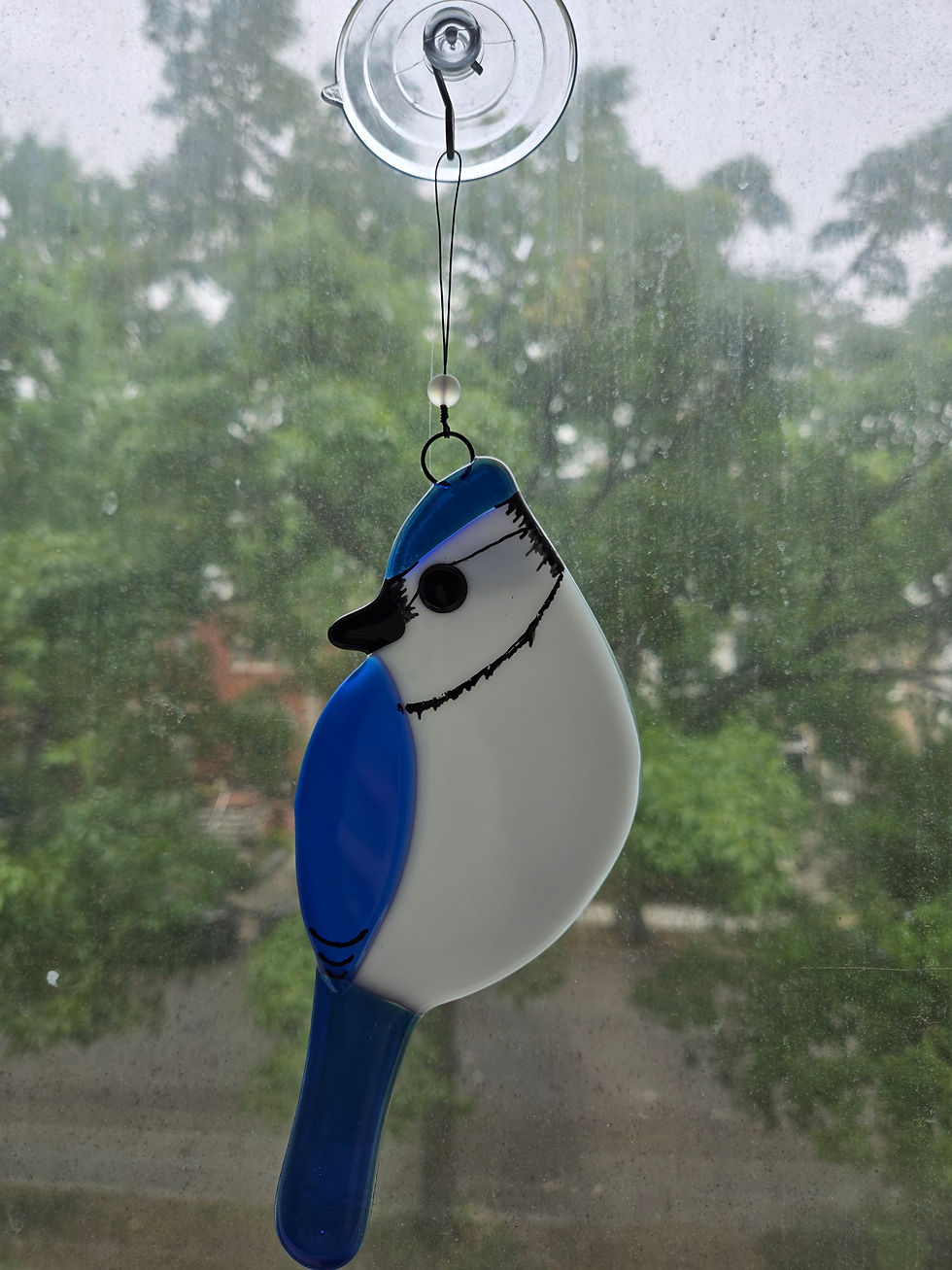 Bluejay Suncatcher